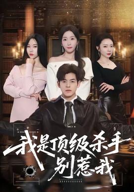 我是顶级杀手，别惹我——公主嫁到国语版全集